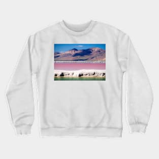 Blue, Pink and Green Crewneck Sweatshirt